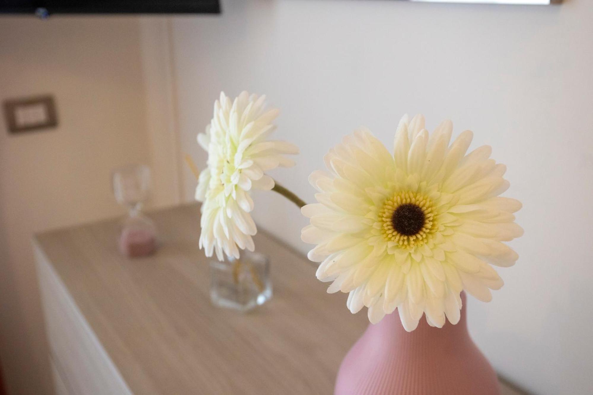 Emy House Sorrento Apartment Ngoại thất bức ảnh